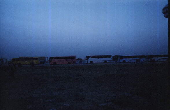 busses.jpg